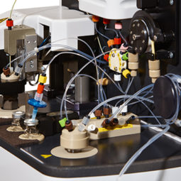 A versatile platform for processing of cyclotron-produced radiometals