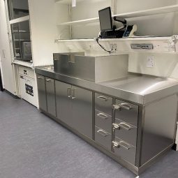 Image1